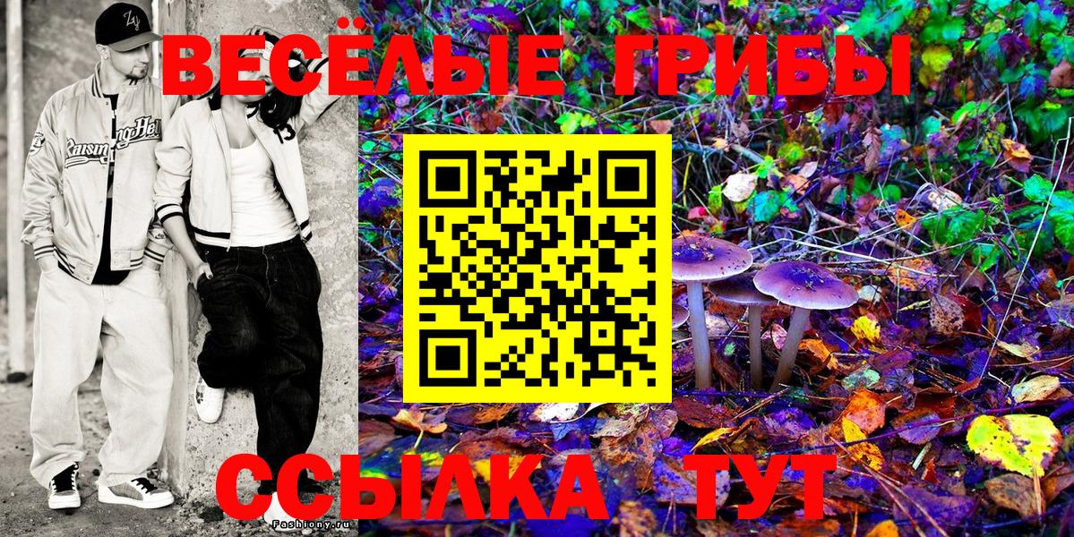 Конаково  Псилоцибиновые грибы GOLDEN TEACHER  Вход с VPN 